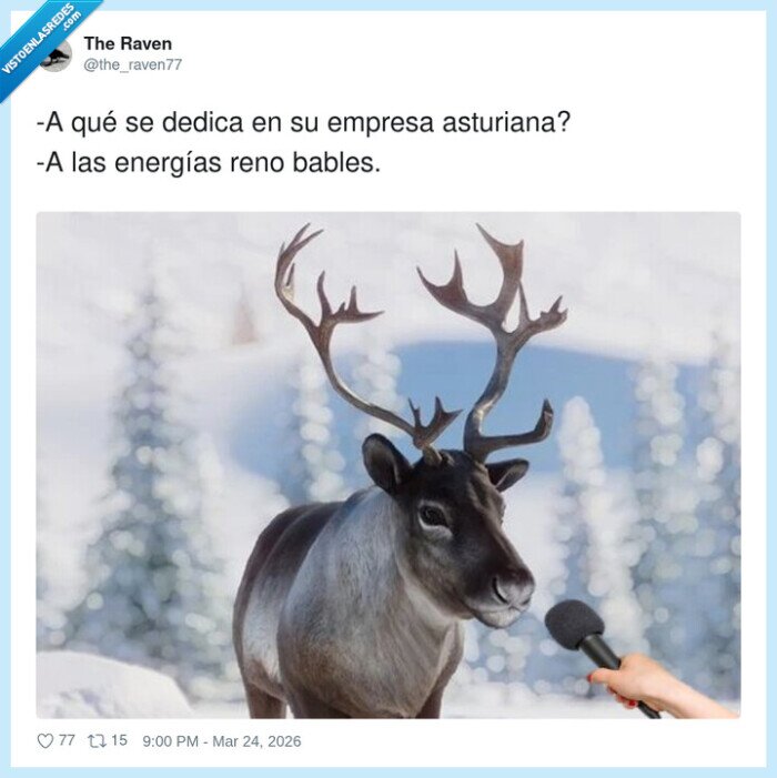 renos,energ&iacute;as,asturias,entrevista,sostenible