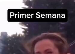 Enlace a Montaña rusa, por @anonimo_jones