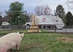 Enlace a Yo, corriendo al mínimo gesto de cariño, por @MsCiencia2