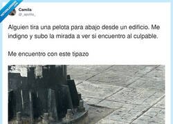 Enlace a Encima me mira con cara de: “¿Y qué, mi abogado?”, por @_apolita_