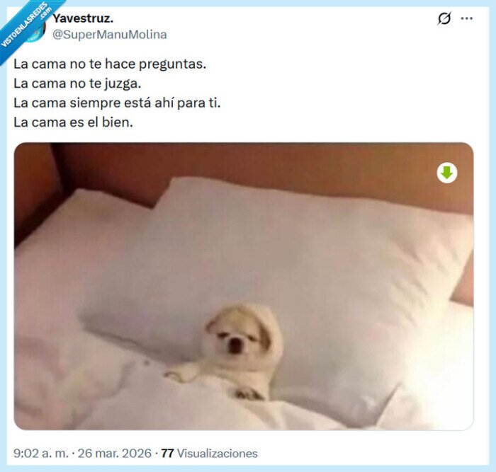 cama,bien