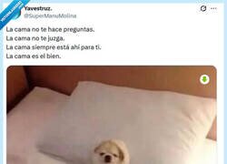 Enlace a El mejor lugar por @supermanumolina