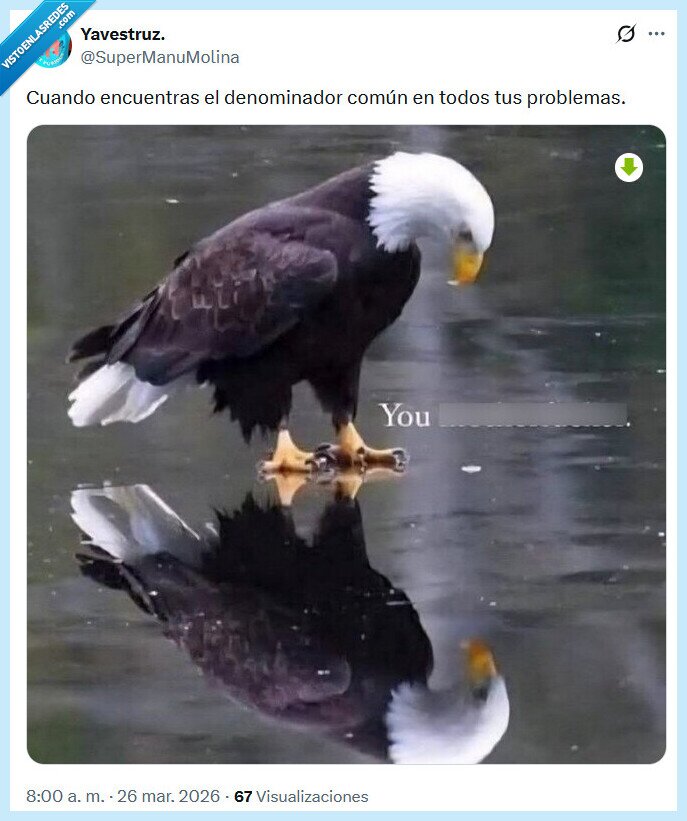 denominador,com&uacute;n,problemas