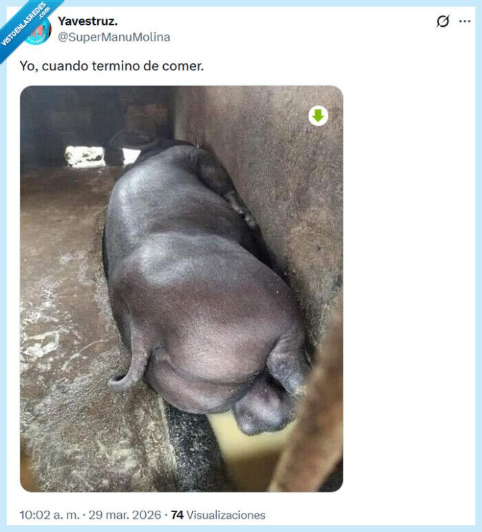 comer,hipop&oacute;tamo,despu&eacute;s