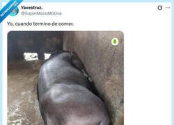 Enlace a A mimir por @supermanumolina