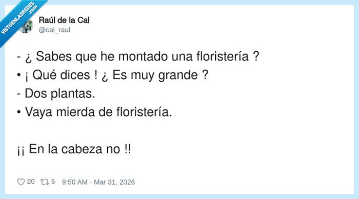 florister&iacute;a,planta,cabeza,juego,palabras