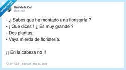 Enlace a La floristería de dos plantas, por @cal_raul