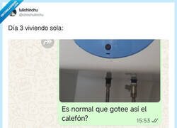 Enlace a Independencia: desbloqueada. Fontanería: modo supervivencia, por @chinchulinchu