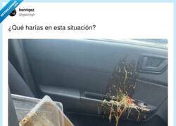Enlace a Cuando vas por las autopistas españolas con un tupper en el asiento del copiloto, por @gabrrlgh