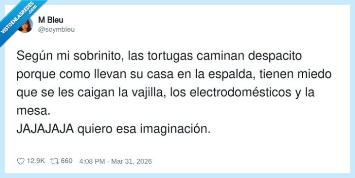 tortugas,sobrino,imaginacion,casa,miedo