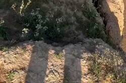 Enlace a Ojalá poder meter a la cárcel a este tipo de personajes