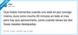Enlace a 20 minutos de gloria, por @P_Polci