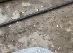 Enlace a Mejor que no lo sepa, por @culturaliteral1