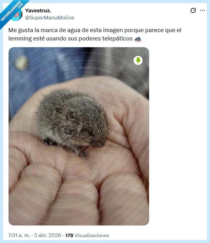 lemming,poderes,marca de agua