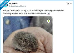 Enlace a Trae pienso por @supermanumolina