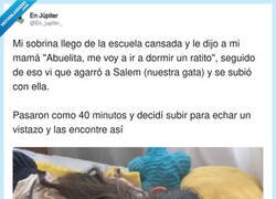 Enlace a Se ha puesto música relajante para gatos y ha caído la primera: la niña, por @En_jupiter_
