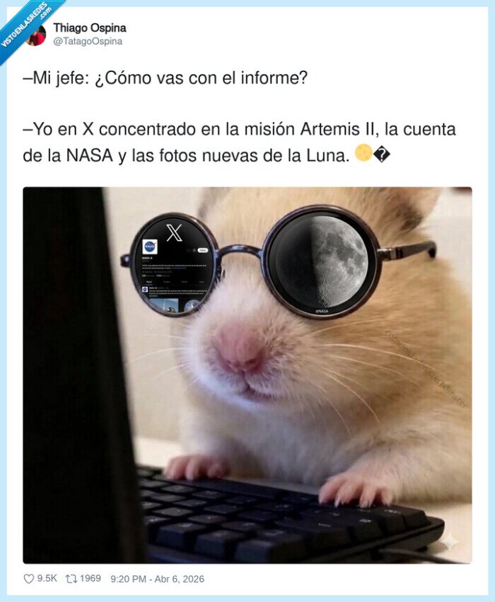 ArtemisII,NASA,Luna,hamster,concentracion