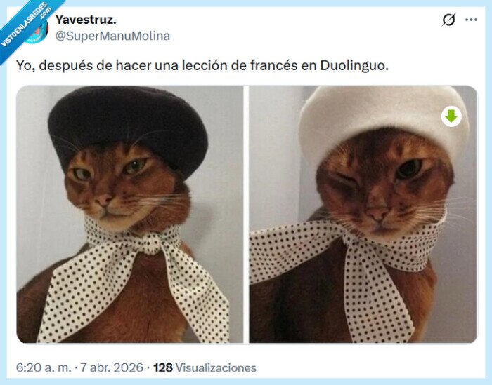 duolinguo,lecci&oacute;n,franc&eacute;s