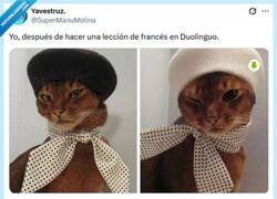 Enlace a Oui, cherí por @supermanumolina