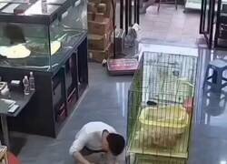 Enlace a El mejor trabajo del mundo, por @anonimo_jones