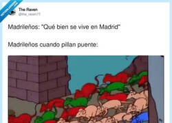 Enlace a Modo estampida activado, por @the_raven77