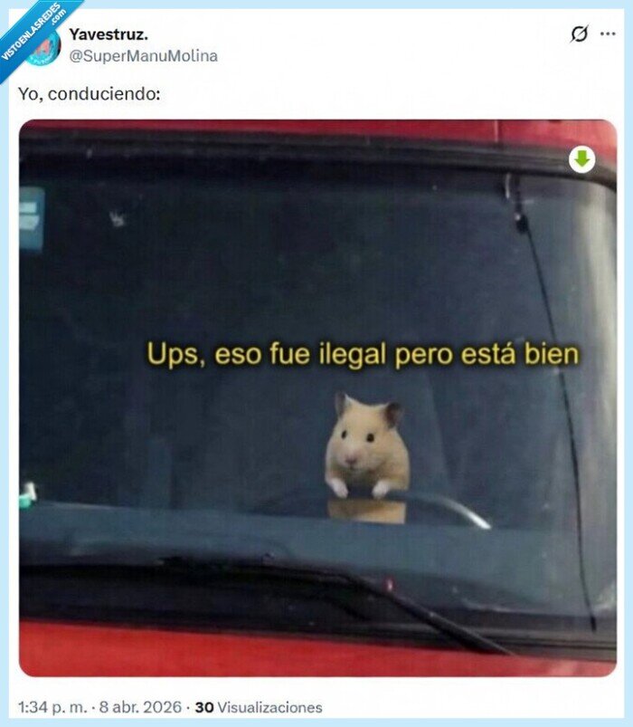 conduciendo,ilegal,ok