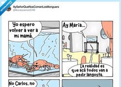 Enlace a María tenía razón, por @BocataJamonEHM