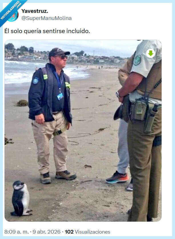 incluido,ping&uuml;ino,documental