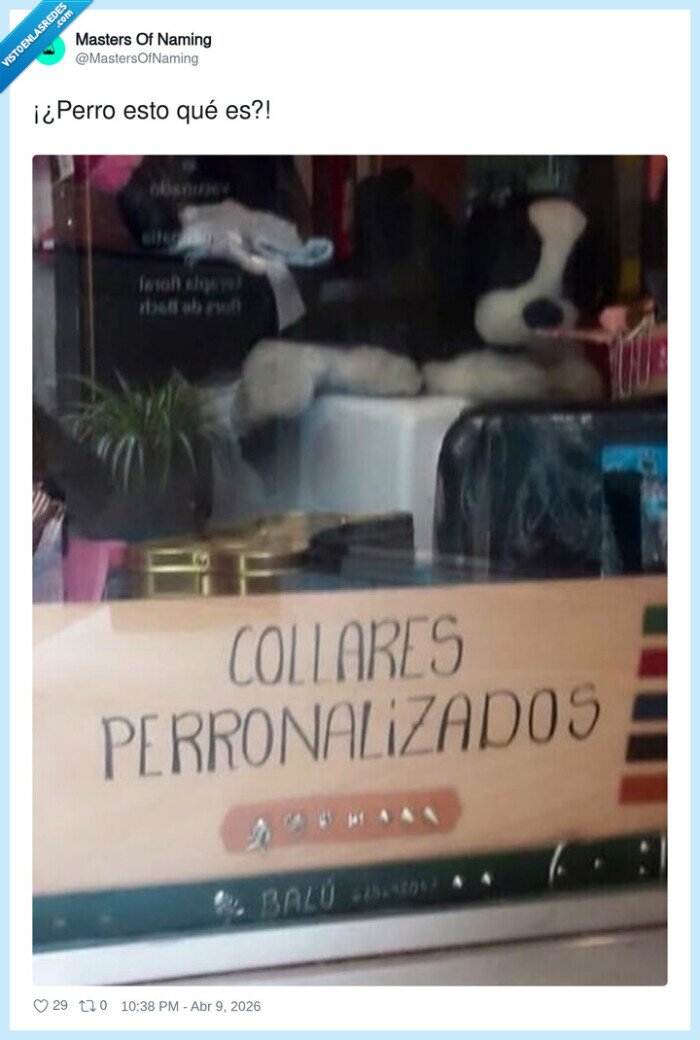 perros,collares,carteles,tiendas,juegosdepalabras