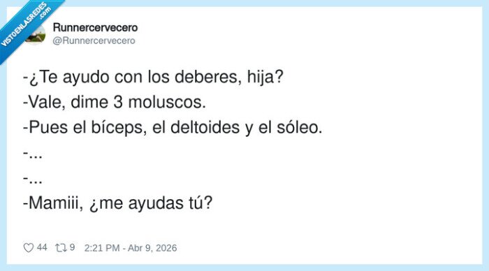 deberes,moluscos,m&uacute;sculos,confusi&oacute;n,familia