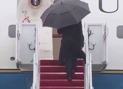 Enlace a Este video dice muchas cosas del zanahorio, por @MigueLandarraga