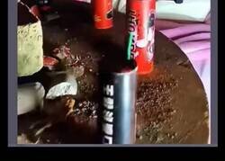 Enlace a Lo que hace la gente en los live de tiktok para ganar dinero