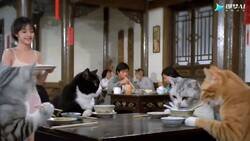 Enlace a Mi gato ni me deja terminar una frase sin interrumpir, por @Ma_WuKong