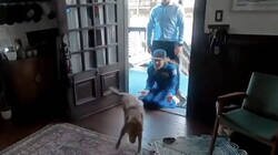 Enlace a La astronauta Christina Koch intentó grabarse reuniéndose con su perro… y el perro corrió hacia su marido en su lugar