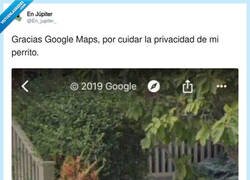 Enlace a Mi perro con la cara pixelada y yo aquí sin poder borrar ni una ex de la memoria, por @En_jupiter_