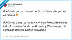 Enlace a Los perros tienen nombre; los gatos, un título nobiliario y un mote por gordo, por @kansaita_