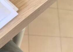 Enlace a Profe, no estoy copiando: estoy calibrando la regla táctica, por @MiguelMaestroIA