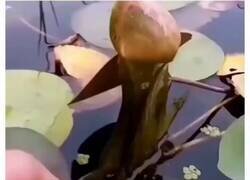 Enlace a Ohhhhhhhh, por @PropositoyVida