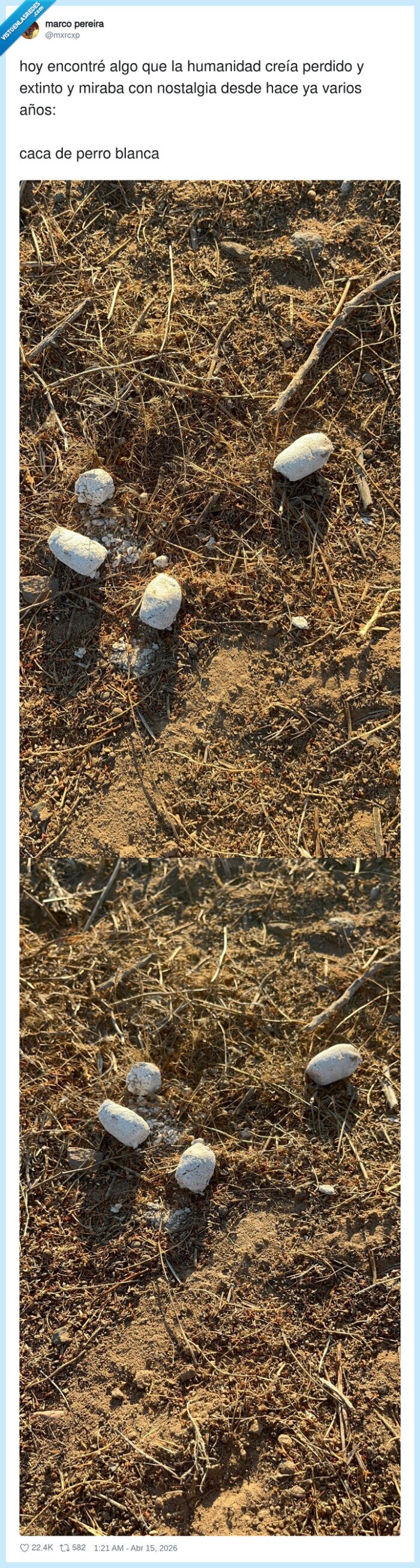 caca,perro,blanca,descubrimiento,nostalgia