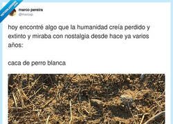 Enlace a La infancia era esto: ver caca blanca y pensar “qué tiempos”, no “qué nutrientes”, por @mxrcxp