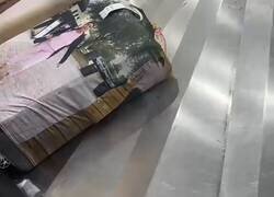 Enlace a Las mejores fundas para las maletas, qué ideaza del copón, me la pillo