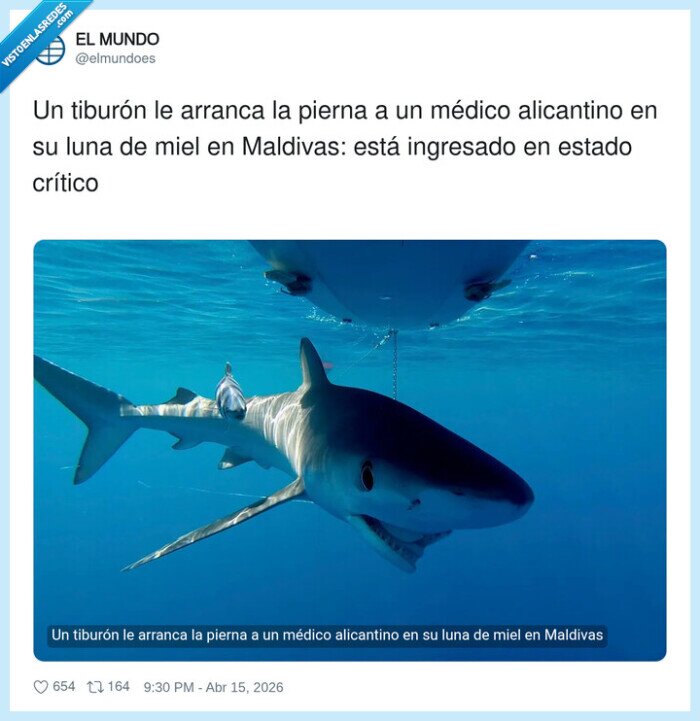 tibur&oacute;n,boda,Maldivas,infortunio,m&eacute;dico