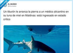 Enlace a ¿Si el buceador fuera basurero pondríais “tiburón arranca la pierna a un basurero alicantino” ?