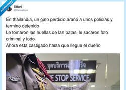 Enlace a Me he enamorado de un delincuente, por @therealbuni