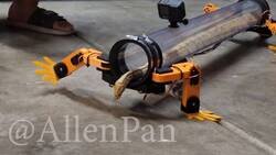 Enlace a Tanta tontería para crear una iguana, por @diegoalejocm