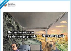 Enlace a Hay gente con 12 yates y sigue triste… el perro con un palo en la boca ya es CEO de la felicidad