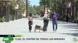 Enlace a Yo nunca me fiaría de una cabra, encima se llama Cloe, por @ٓCocoExiliado‏