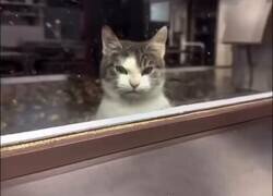 Enlace a Es mi territorio, por @escritosnacion