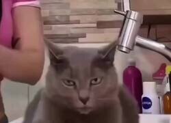 Enlace a Sí, sí… cuéntamelo otra vez, que ya casi me importa, por @anonimo_jones