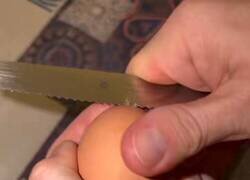 Enlace a Paciencia tengo… lo que no tengo es una forma normal de pelar un huevo, por @cansinoroyal